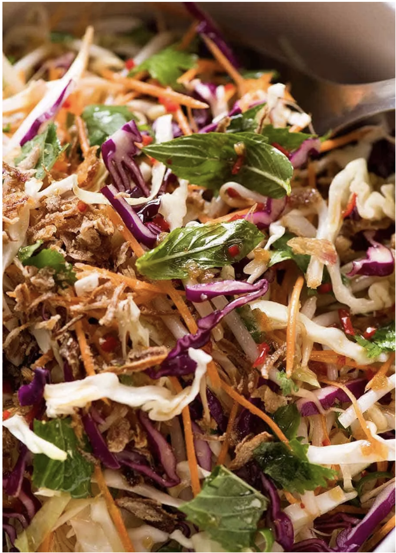 Healthy Cabbage Slaw