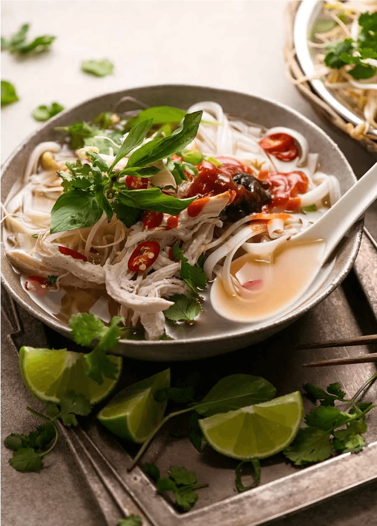 Vietnamese Chicken Pho Soup